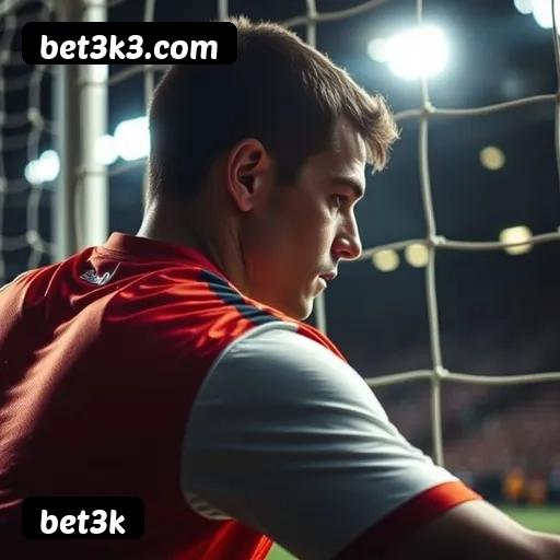 Suporte 24 horas bet3k